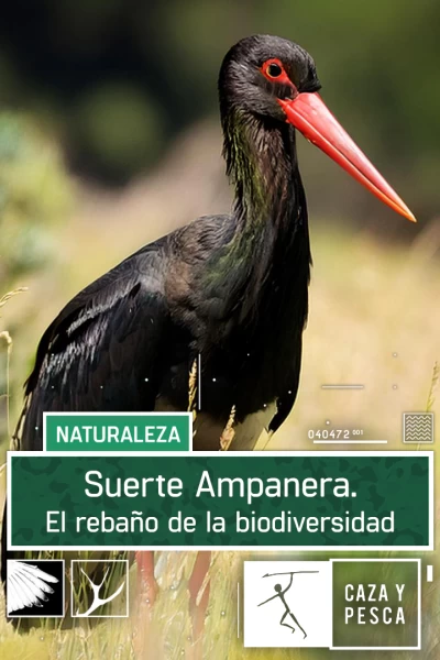 Suerte Ampanera, rebaño de biodiversidad