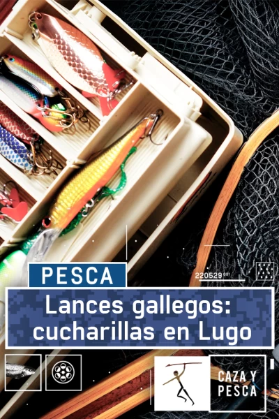 Lances gallegos: cucharillas en Lugo