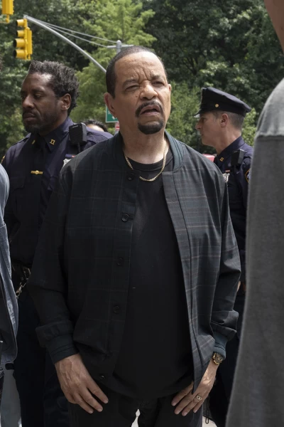 Ley y orden: unidad de víctimas especiales. T(T26). Ley y Orden:... (T26): Ep.4 Sofocadas