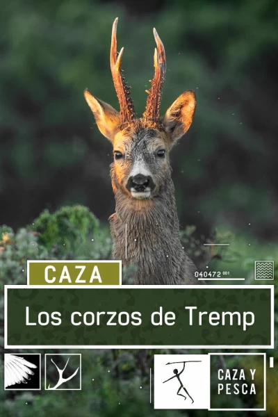 Los corzos de Tremp