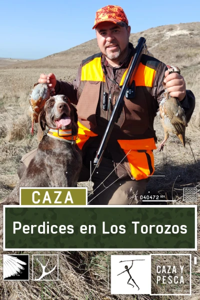 Perdices en Los Torozos