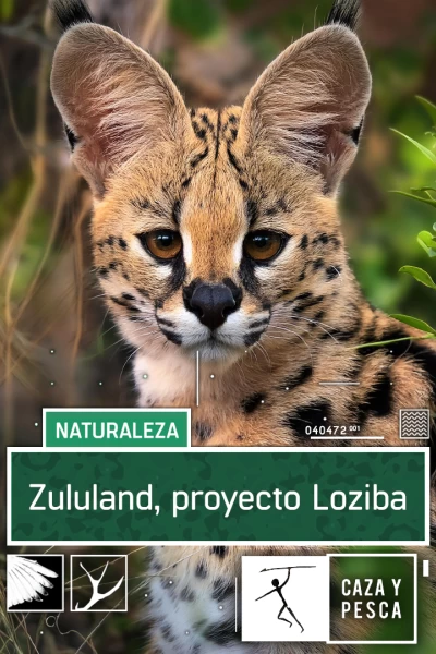 Zulú Land Proyecto Loziba