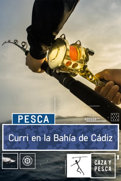 Curri en la bahía de Cádiz