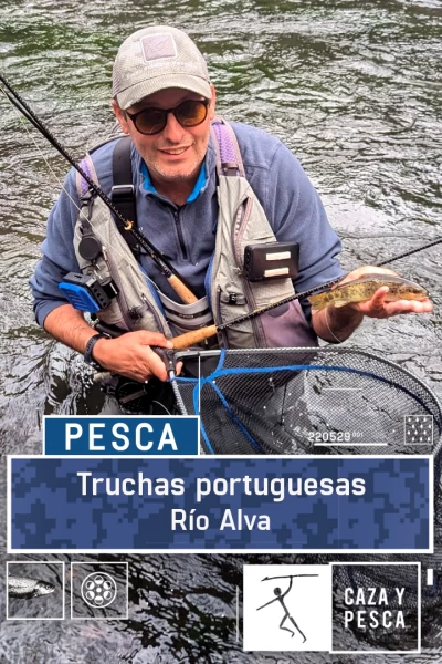 Truchas portuguesas: río Alva