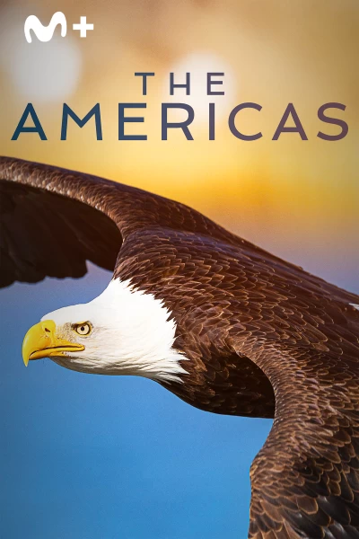 The Americas