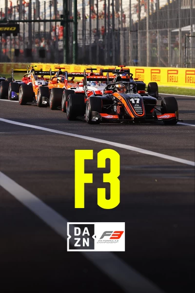 Campeonato F3 de la FIA - Gran Bretaña. T(2025). Campeonato F3 de... (2025): Clasificación