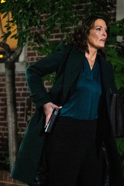 FBI. T(T7). FBI (T7): Ep.6 Perfecta