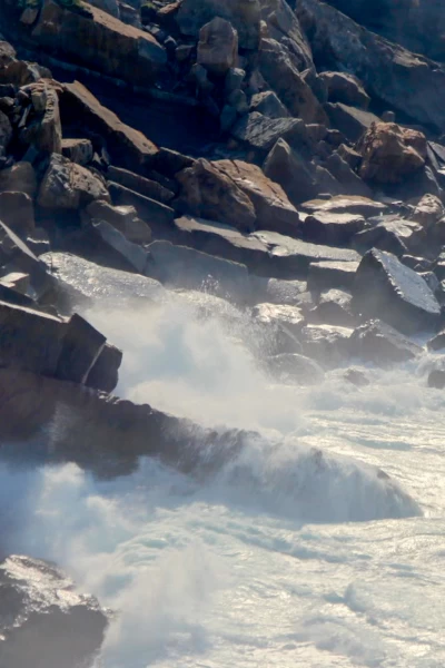 Río Salvaje con Kike Calleja. T(T6). Río Salvaje con... (T6): Pesqueras de Xábia