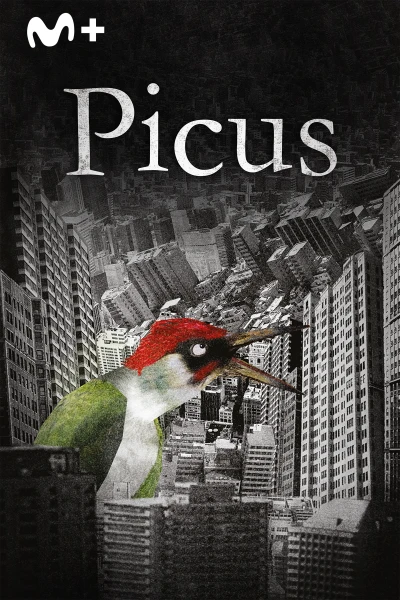 Picus