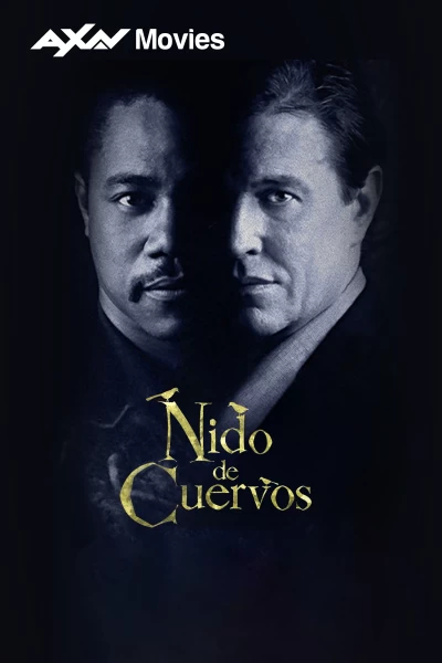 Nido de cuervos