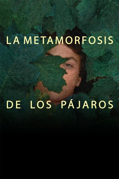 La metamorfosis de los pájaros