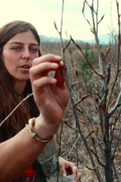 Desafío en los Northwoods. T(T1). Desafío en los... (T1): Regeneración