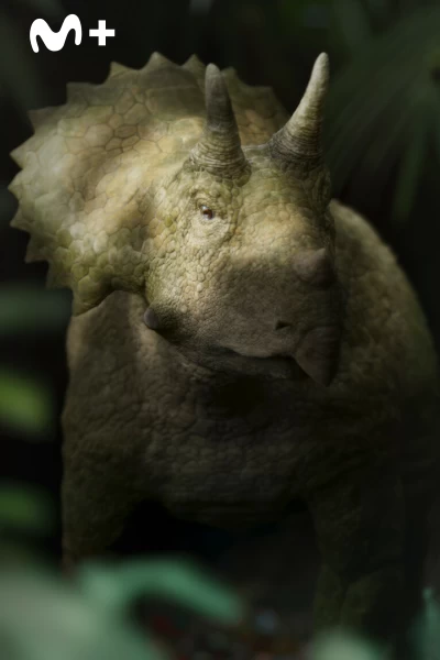 Caminando entre dinosaurios. Caminando entre...: La huérfana Triceratops