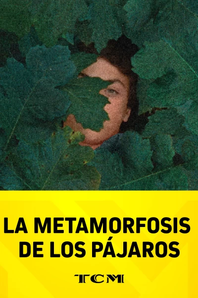 La metamorfosis de los pájaros
