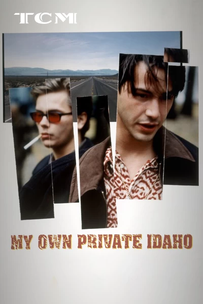 Mi Idaho privado
