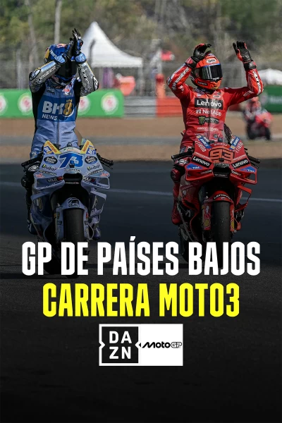 MotoGP - GP de Países Bajos. T(2025). MotoGP - GP de... (2025): Carrera Moto3