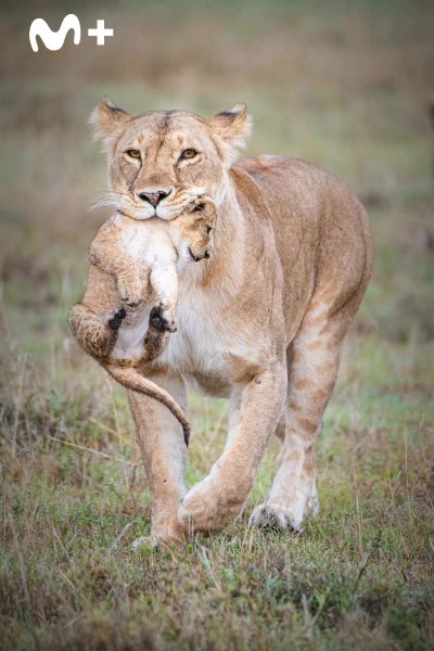 Parenthood. Parenthood: Ep.1