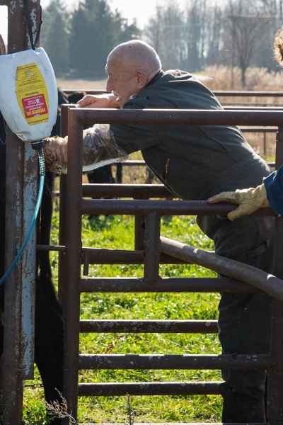 Doctor Pol. Doctor Pol: Caniches y compañía