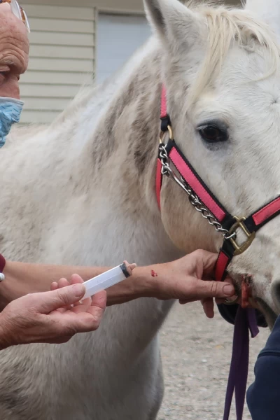 Doctor Pol. Doctor Pol: Echa el freno