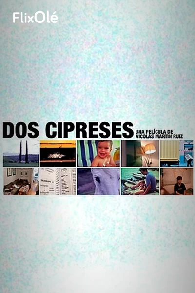 Dos cipreses