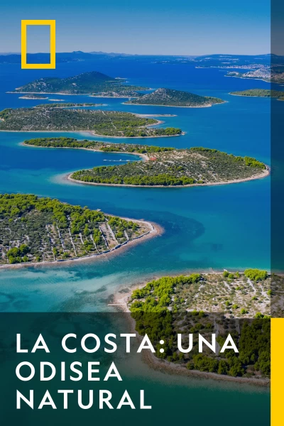 La Costa: Una Odisea Natural