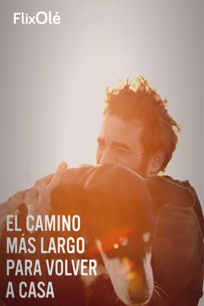 El camino más largo para volver a casa