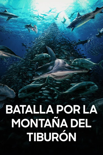 Batalla por la montaña del tiburón