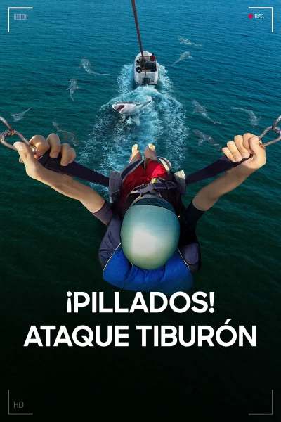 ¡Pillados! Ataque tiburón