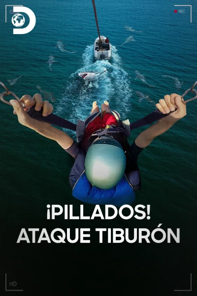 ¡Pillados! Ataque tiburón