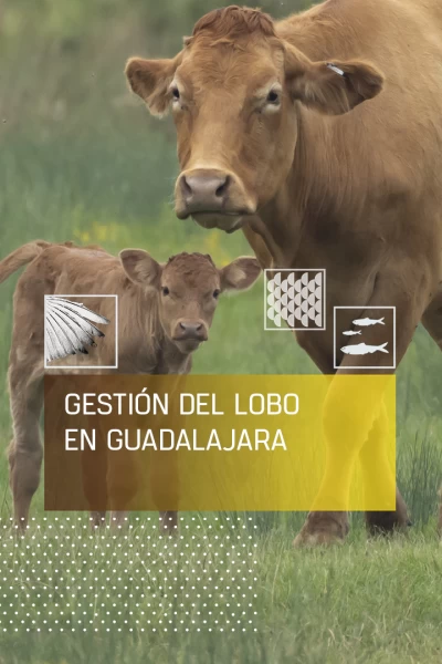 Gestión del lobo en Guadalajara