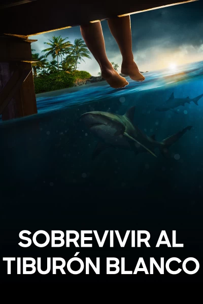 Sobrevivir al tiburón blanco