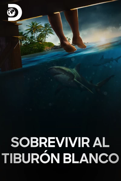 Sobrevivir al tiburón blanco