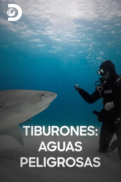 Tiburones: Aguas peligrosas