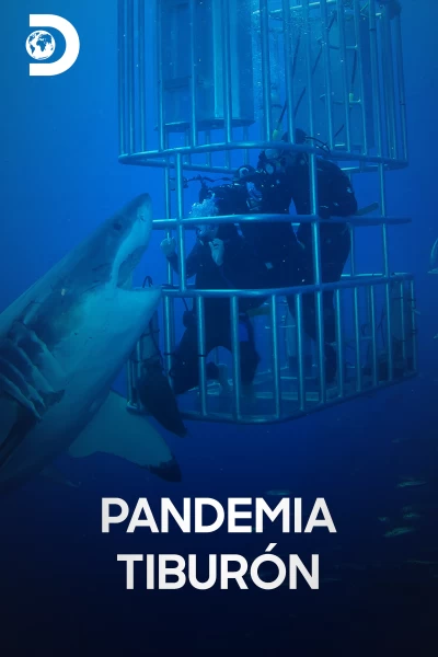 Pandemia tiburón