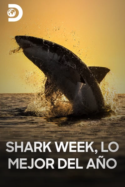 Shark week: lo mejor del año