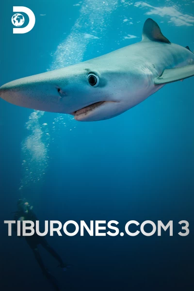 Tiburones.com 3