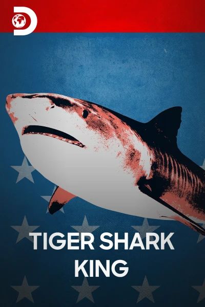 El rey de los tiburones tigre