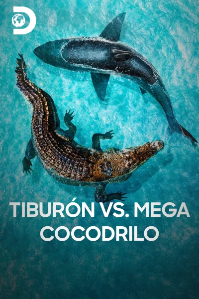 Tiburón vs. mega cocodrilo