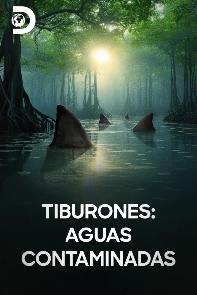 Tiburones: aguas contaminadas