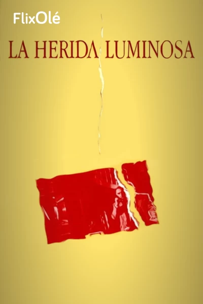 La herida luminosa (1997)