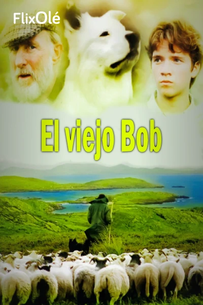 El viejo Bob