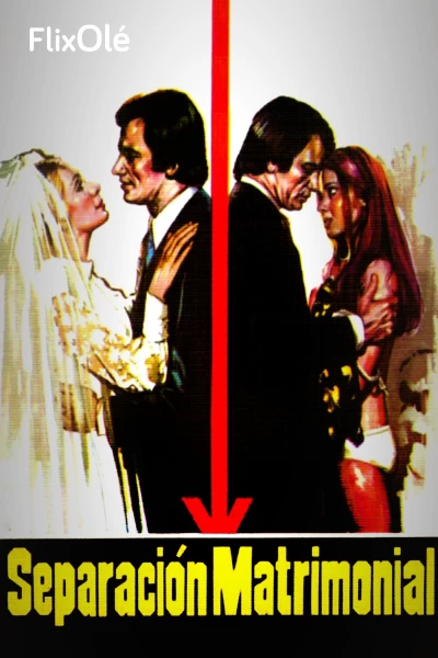 Separación matrimonial