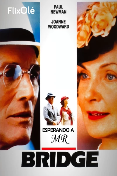 Esperando a Mr. Bridge