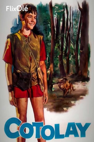 Cotolay