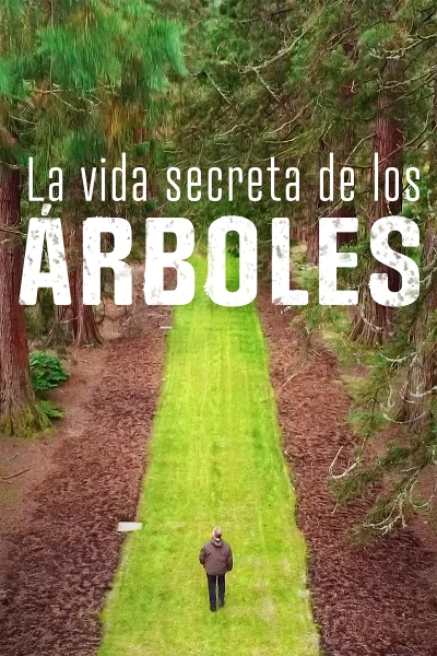 La vida secreta de los árboles