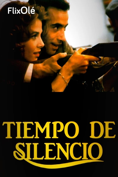 Tiempo de silencio
