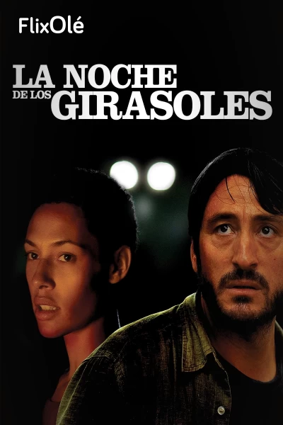 La noche de los girasoles