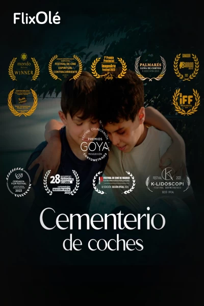 Cementerio de coches