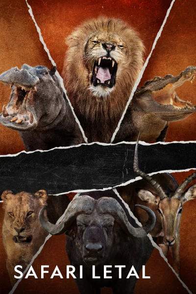 Safari letal