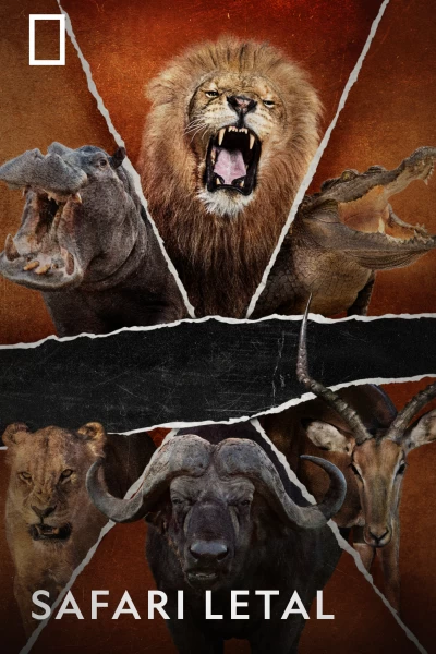 Safari letal
